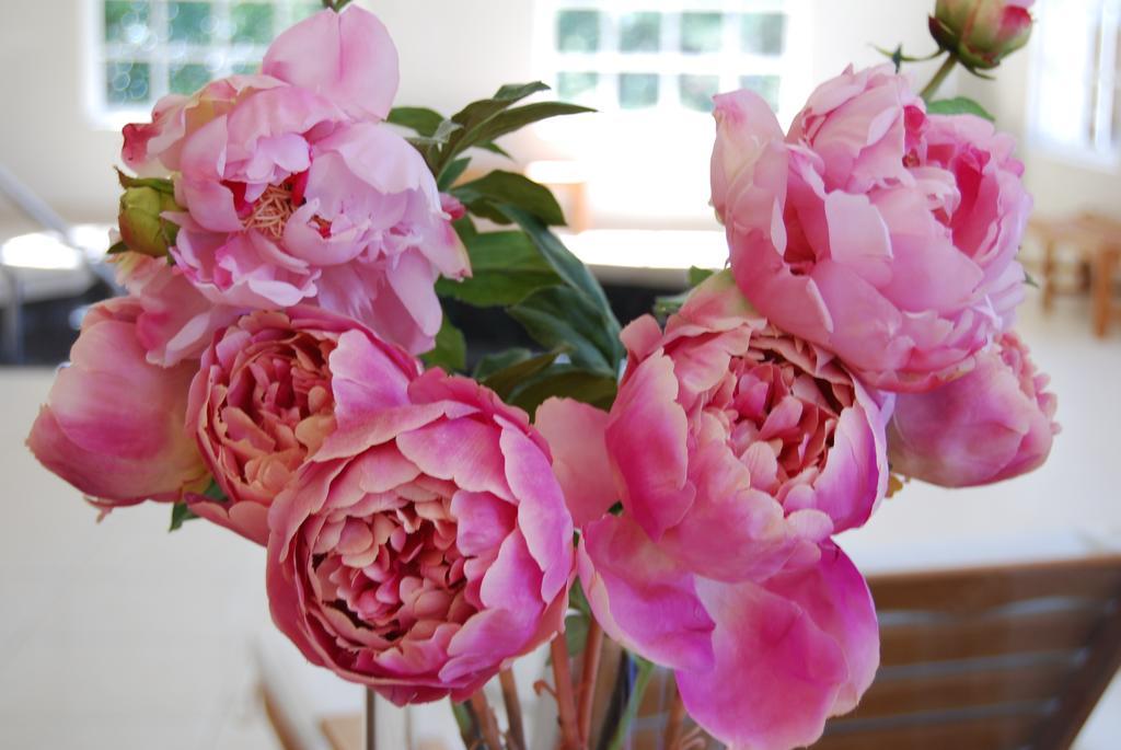 Milton Park Country House Hotel & Spa 보랄 외부 사진