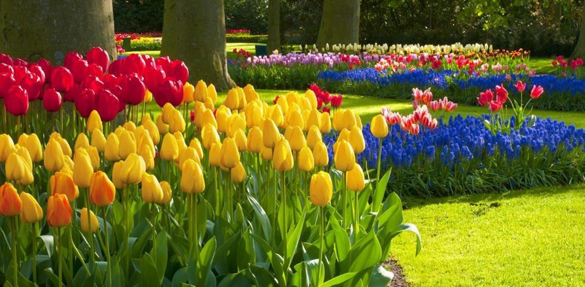 Milton Park Country House Hotel & Spa 보랄 외부 사진